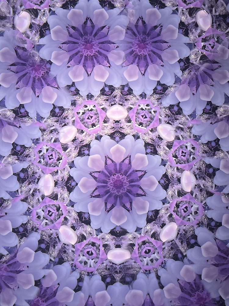 Chie_CE7004_1