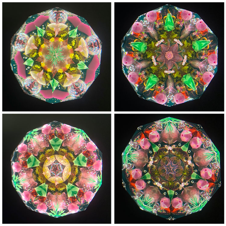 ジュディス・ポール_Wraps_BV._1