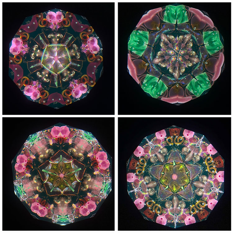 ジュディス・ポール_Wraps_BV._3