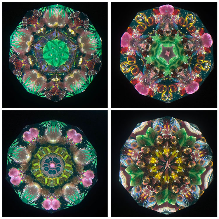 ジュディス・ポール_Wraps_BV._4