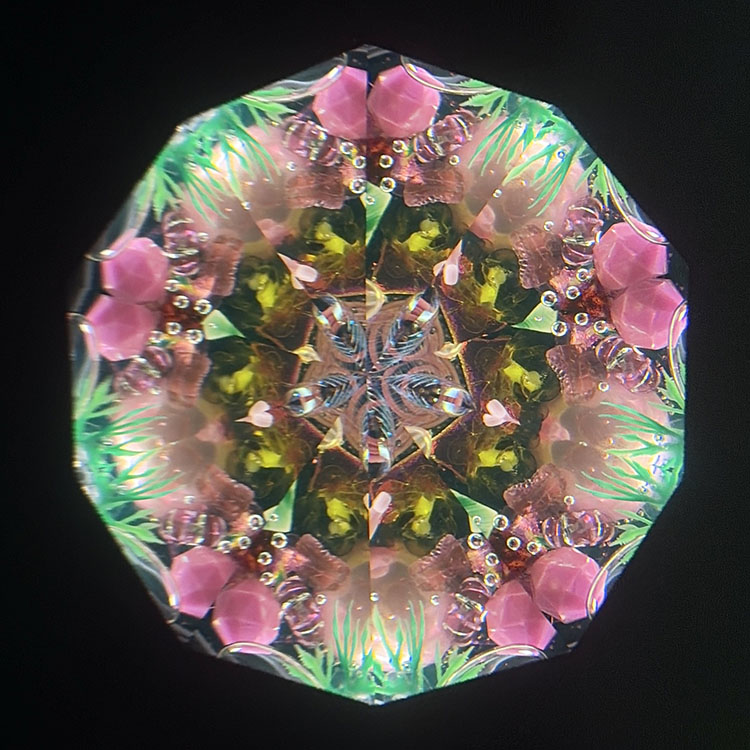 ジュディス・ポール_Wraps_BV._メイン1