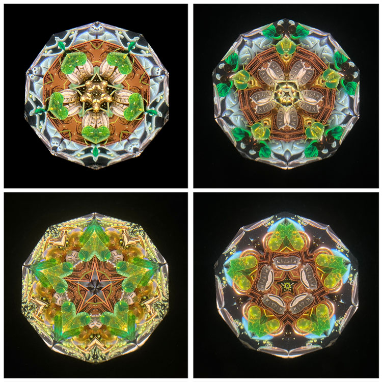 ジュディス・ポール_raps_K_1