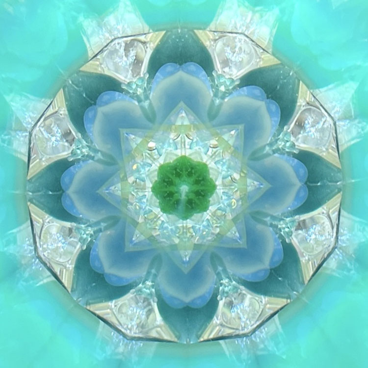 Rieko_RI-7001_メイン2