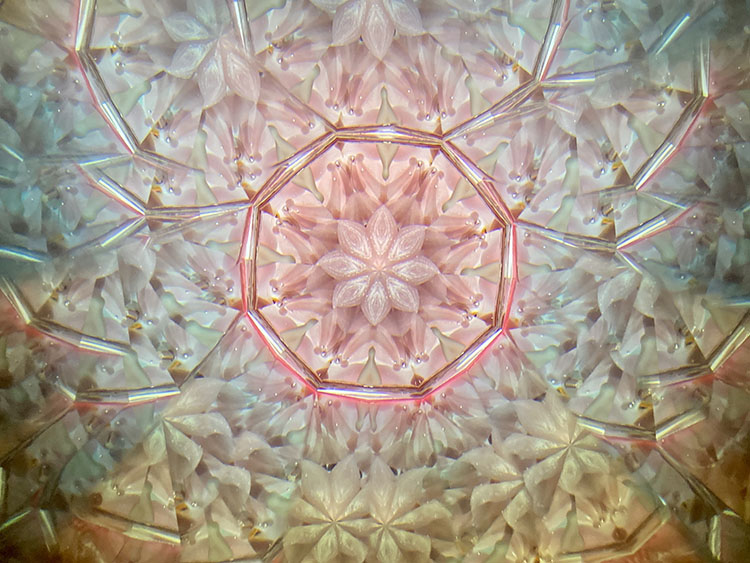 Rieko_RI-7005_メイン