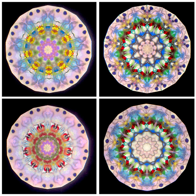 アンティーク_AT7002_6