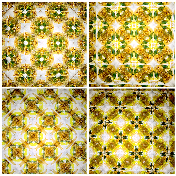 アンティーク_AT7009_1