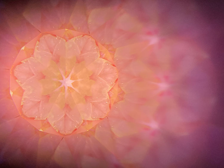 Chie_CE6012_メイン