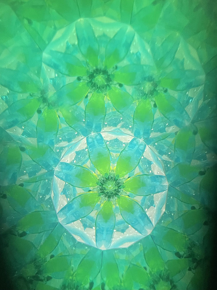 Chie_CE6019_メイン2