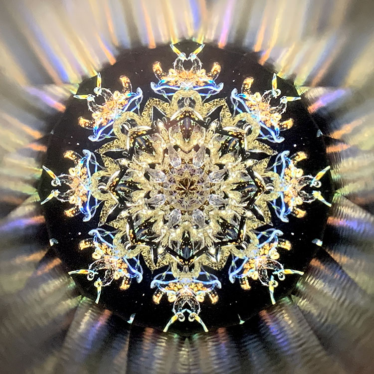 盆石 葛盆 (L) 両面 盆石 葛盆 (L) 両面 盆石 葛盆 (L) 両面
