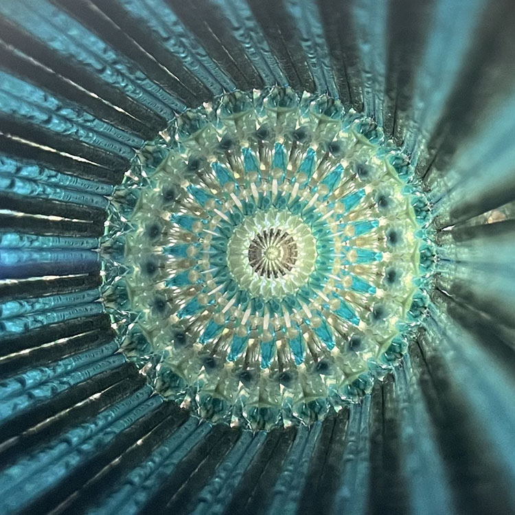 林和子_HK3011_メイン1