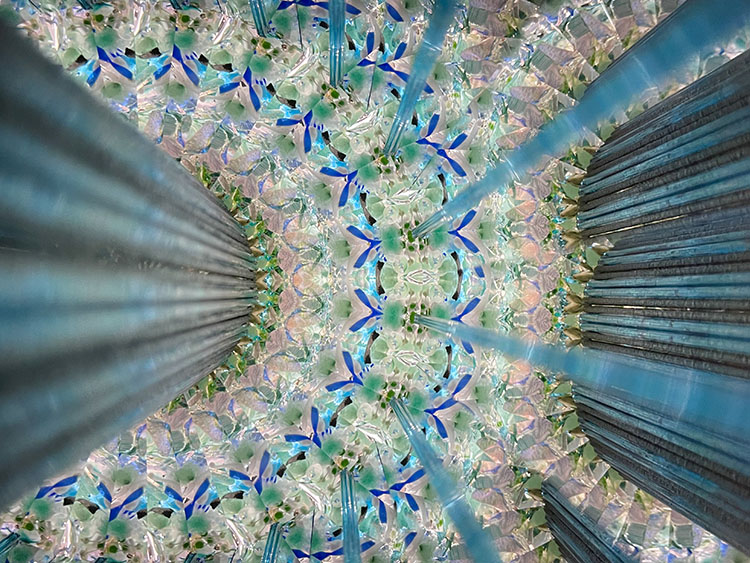 林和子_HK3011_メイン2