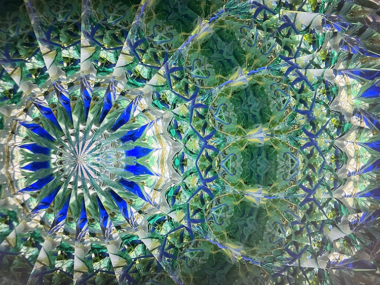 林和子_HK6016_2