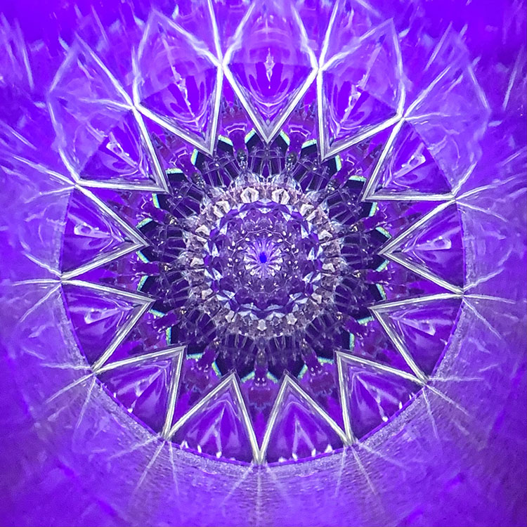 林和子「リフレクション パープル」ホワイトバック（HK6017）特殊2