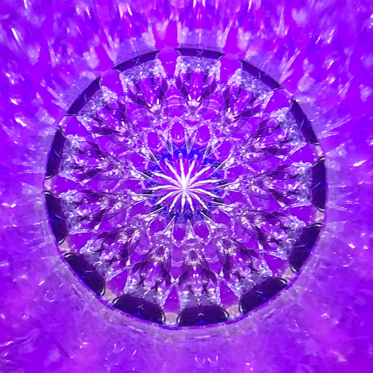 林和子「リフレクション パープル」ホワイトバック（HK6017）特殊2