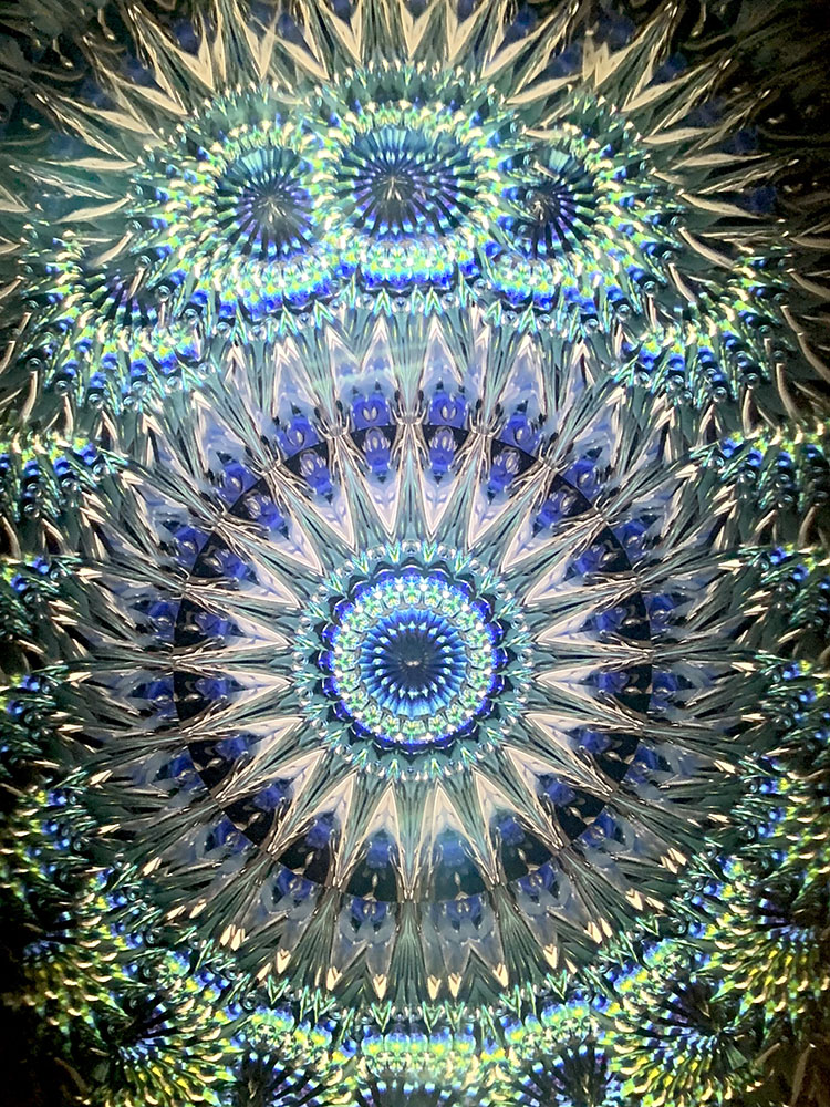 林和子_HK6022_メイン