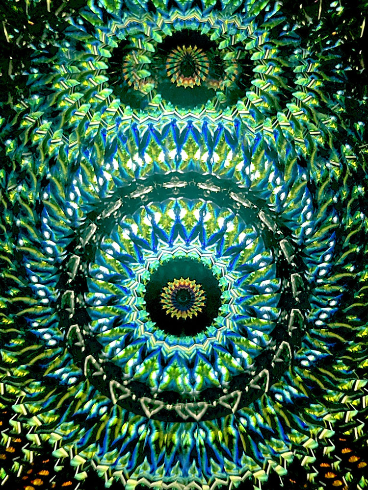 林和子_HK6024_メイン