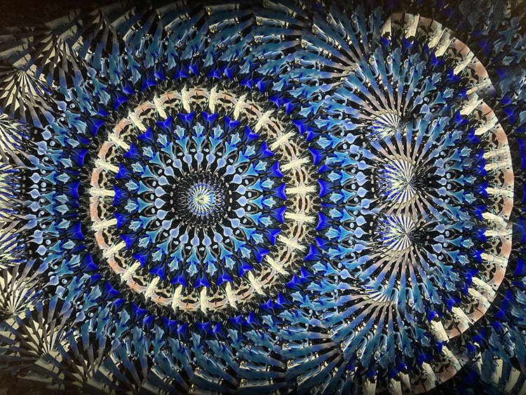 林和子_HK6027_メイン1