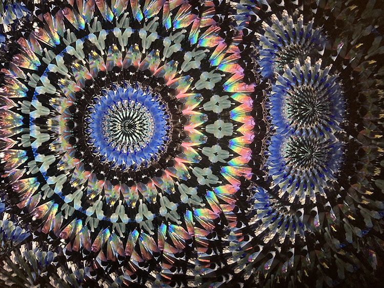 林和子_HK6027_メイン2