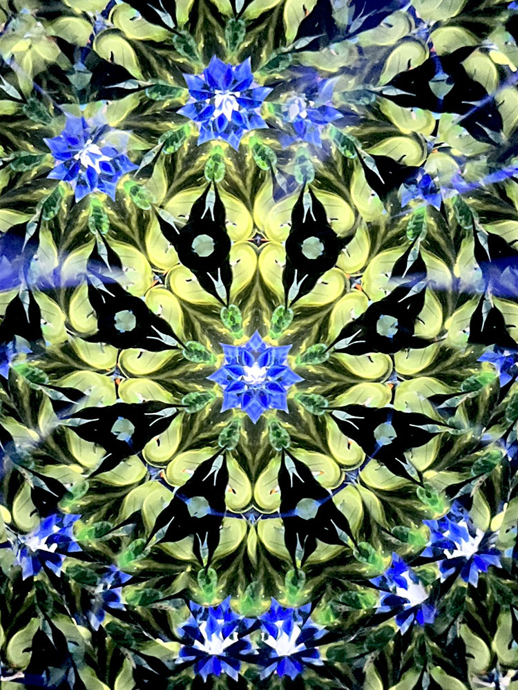 林和子_HK6028__10