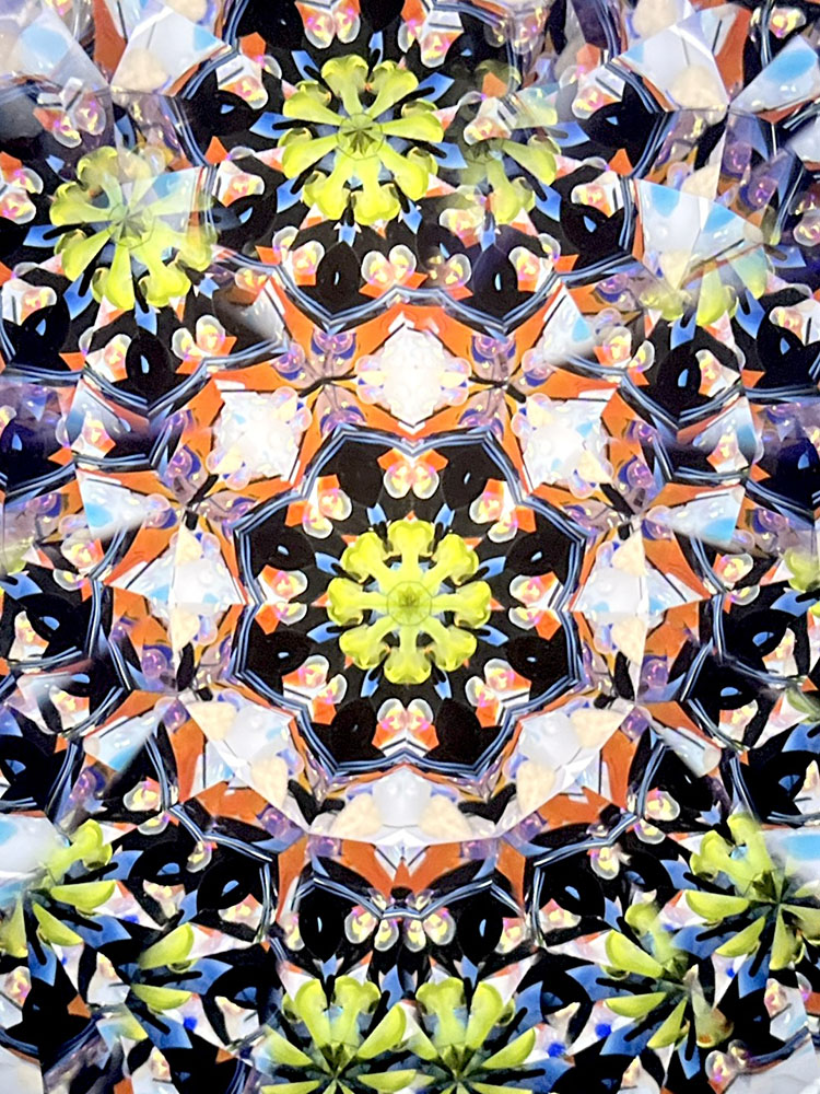 林和子_HK6028__12