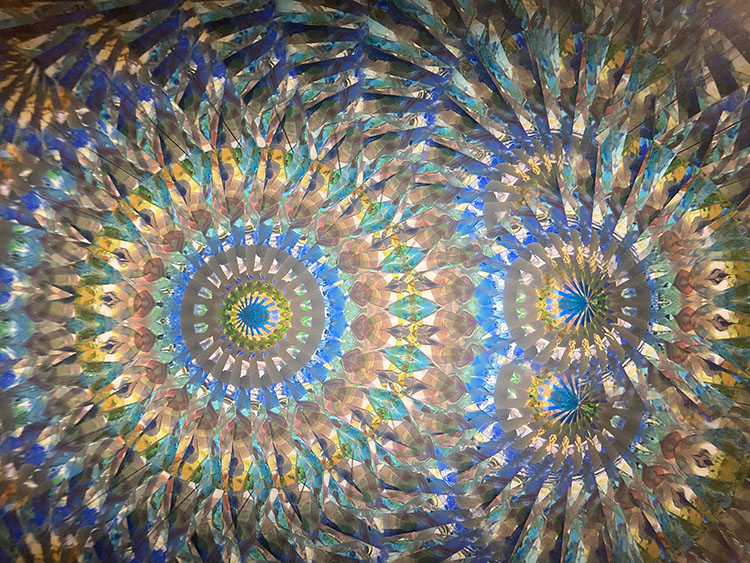 林和子_HK7001_メイン_11