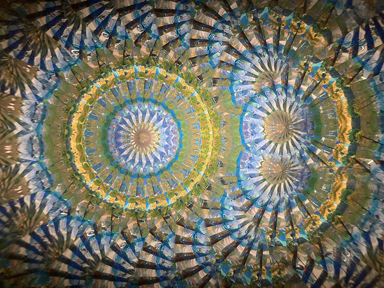 林和子_HK7001_メイン_15