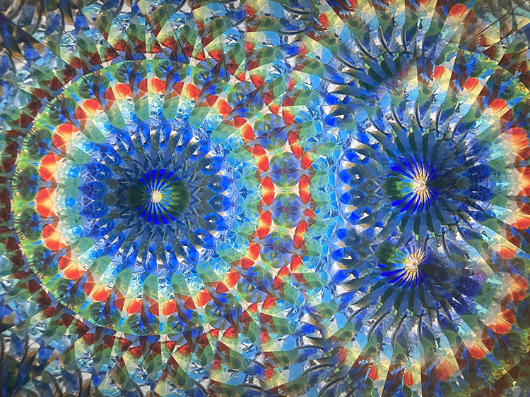 林和子_HK7001_メイン_2