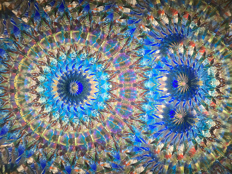 林和子_HK7001_メイン_8