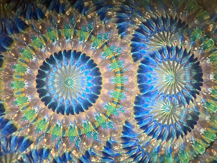 林和子_HK7001_メイン_9