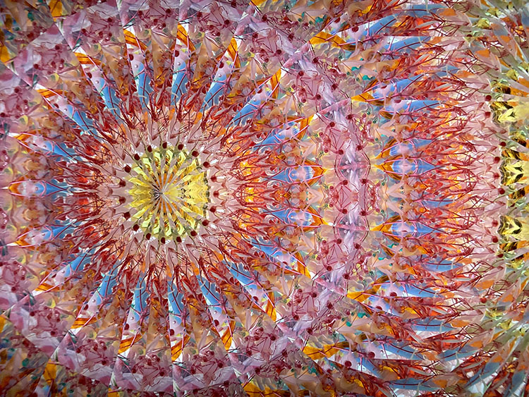 林和子_HK7002_メイン