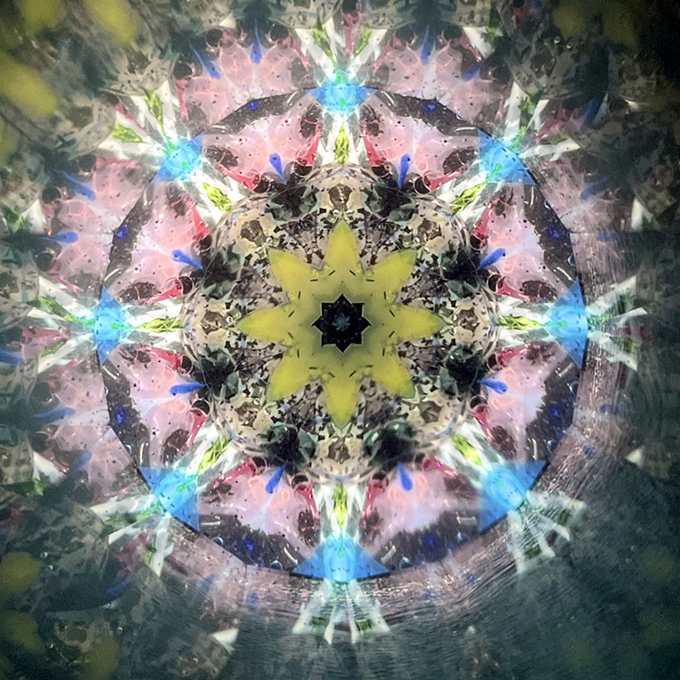 林和子_HK7025_メイン1