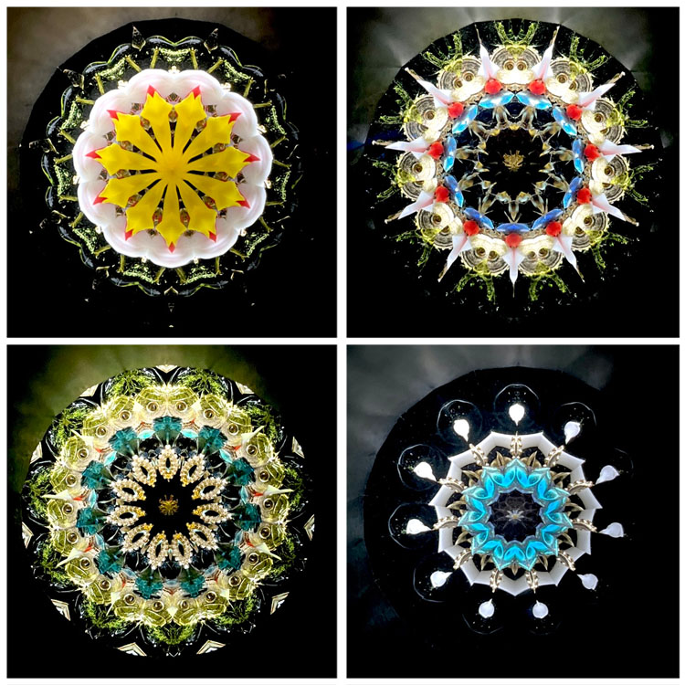 本間祐輔_HY6003_4