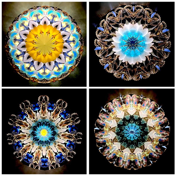 本間祐輔_HY6003_5