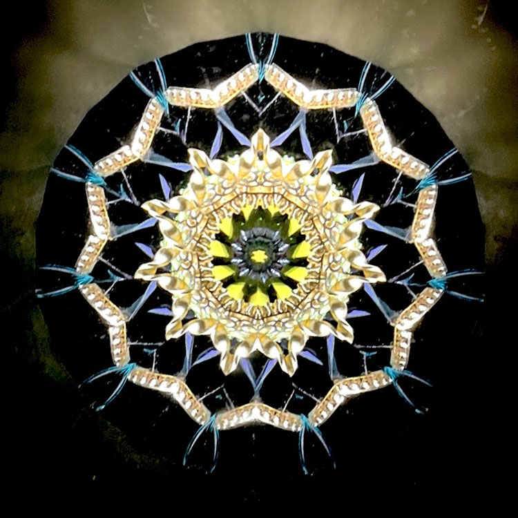 本間祐輔_HY6003_メイン1