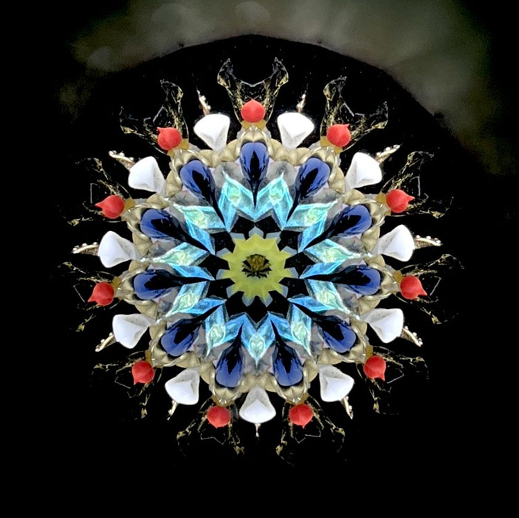 本間祐輔_HY6003_メイン4