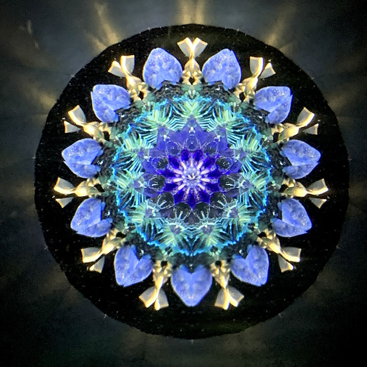 本間祐輔_HY6007_メイン4