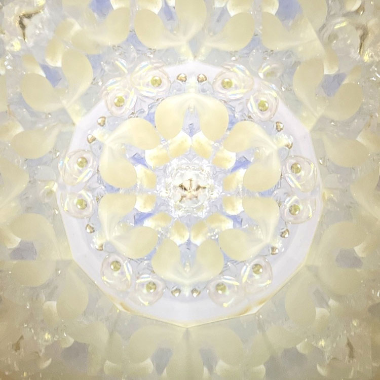 堀越_HJ30025_メイン