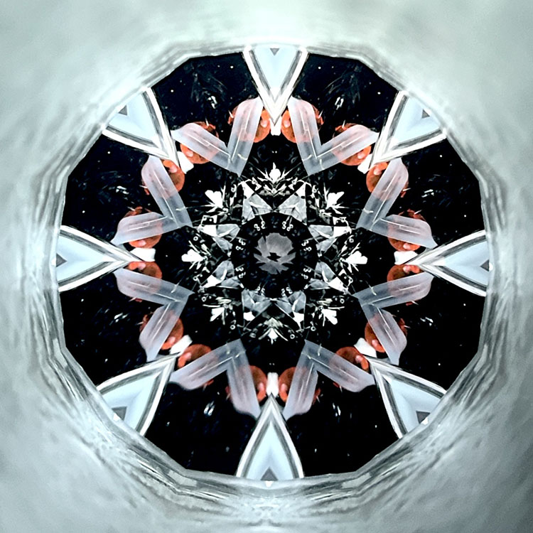 堀越_HJ4009_メイン