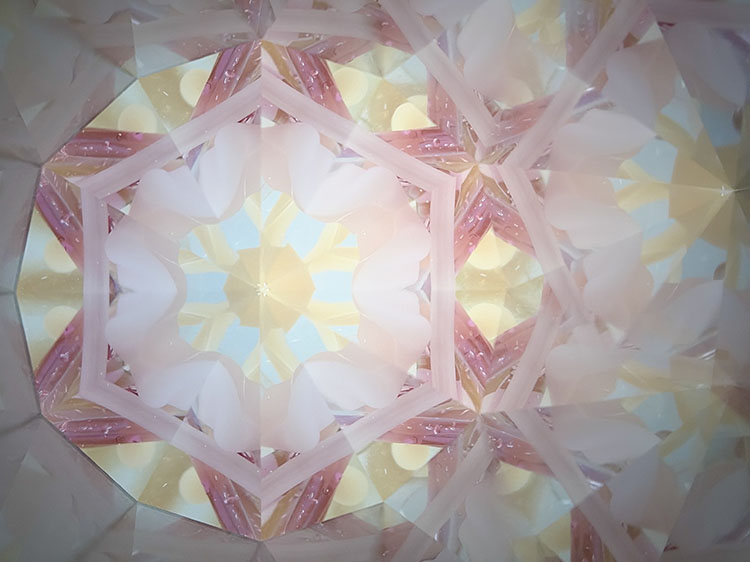 堀越_HJ7001_メイン