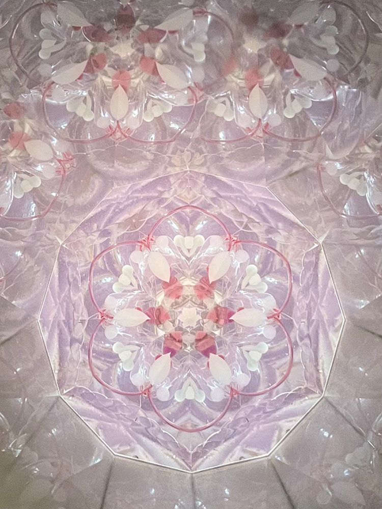 堀越_HJ8002_11