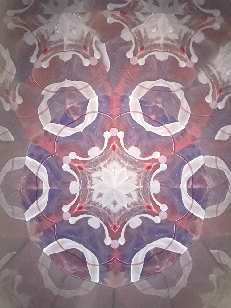 堀越_HJ8002_19