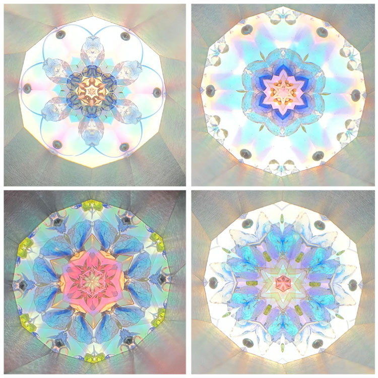 石田千香子_IS-Aurora2_2