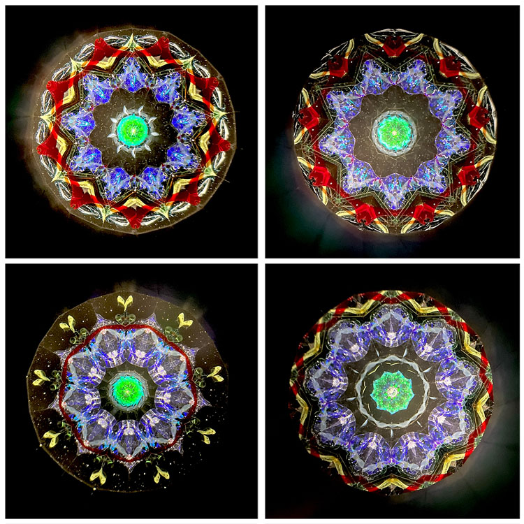 石田千香子_IS7006_4