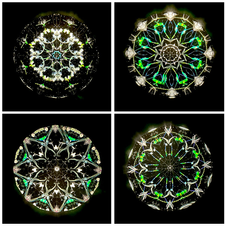 石田千香子_IS7007_2