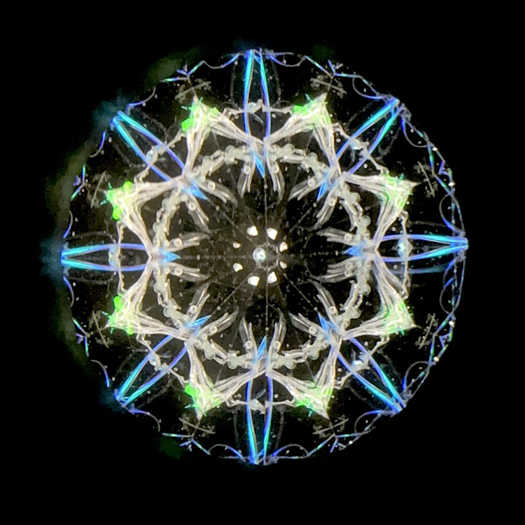 石田千香子_IS7007_メイン2