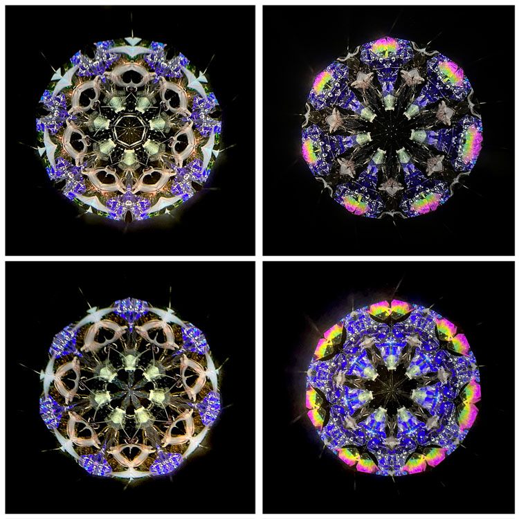 石田千香子_IS7008_1