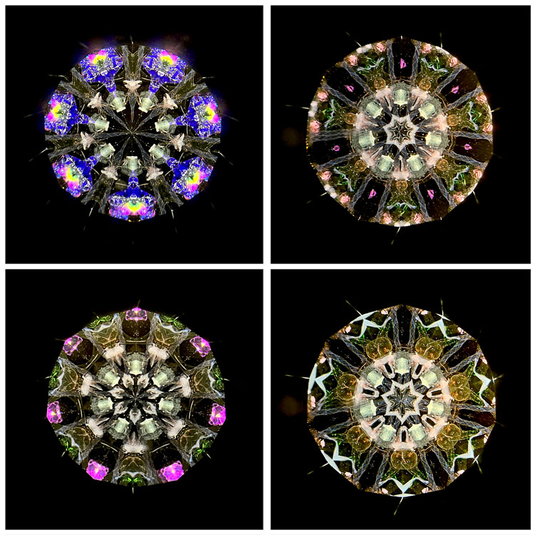 石田千香子_IS7008_3