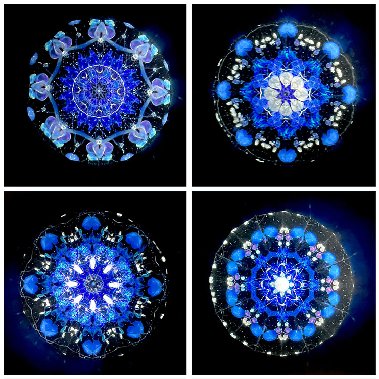 石田千香子_IS7011_2