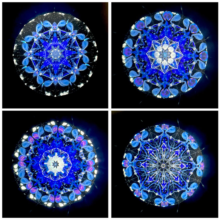 石田千香子_IS7011_4