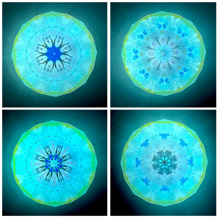 石田千香子_IS7015_2